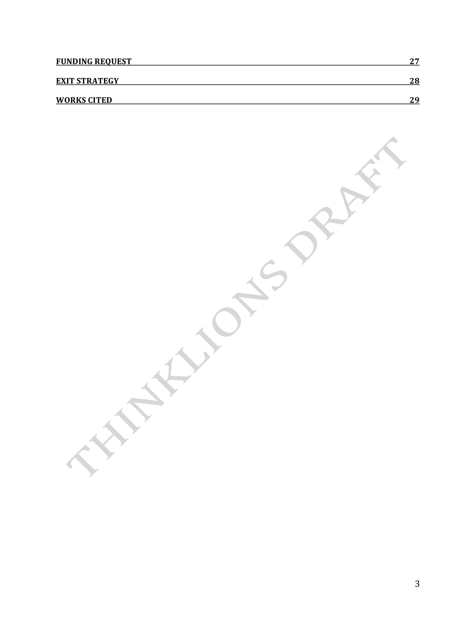 business plan - page 3