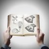 seed funding, book with idea and money