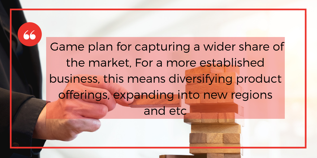 What is a startup growth strategy